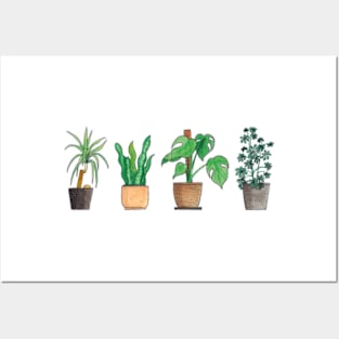 House Plant Mug 1 Posters and Art